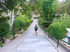 景点-景山公园