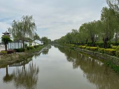 -荷花大观园