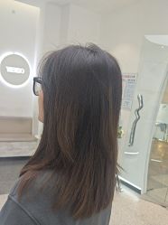 -YESIDO椰岛造型