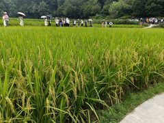 -韶山毛泽东同志故居