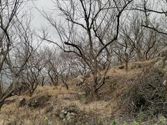 -广州市流溪河国家森林公园