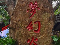 -呀诺达热带雨林