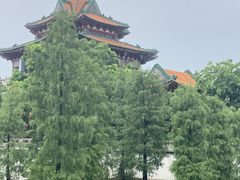 -顺峰山公园