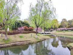 -桐乡植物园