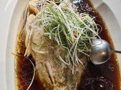 -望乡楼上海菜(日月光店)