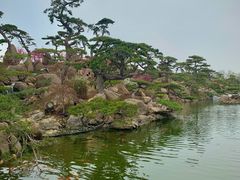 -罗红摄影艺术馆