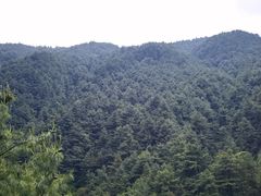 -苍山感通索道