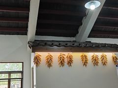 -同里国家湿地公园