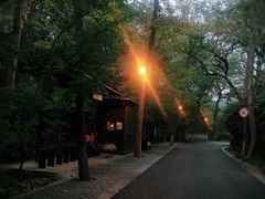-东航云逸酒店(九溪烟树店)