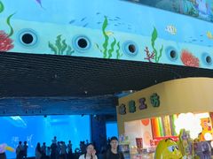 -海合安成都极地海洋公园
