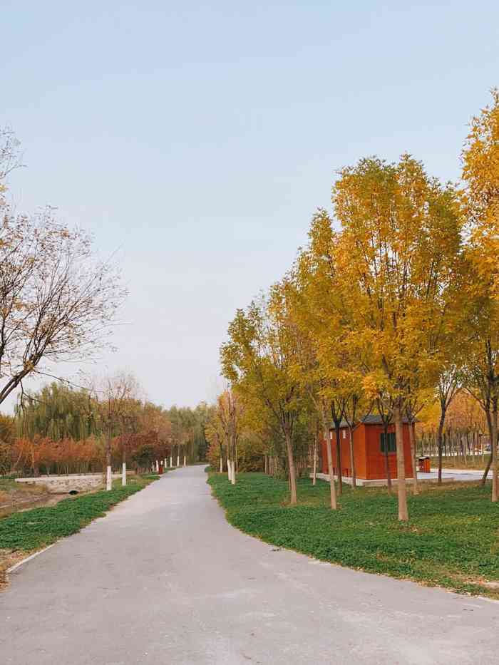 新立郊野公园-"东丽区有两个郊野公园逛起来感觉都差不多.