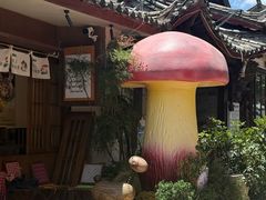 -菌自由丨野生菌火锅特色庭院餐厅(丽江古城店)