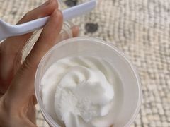 -洪馨椰子