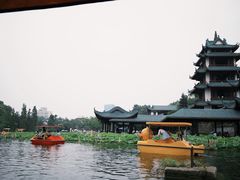 -桂湖森林公园
