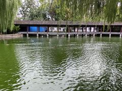 -团结湖公园