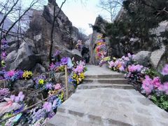 -秦岭终南山世界地质公园翠华山景区