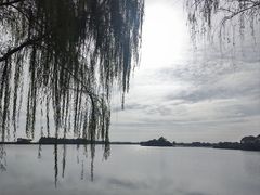 -贡湖湾湿地公园