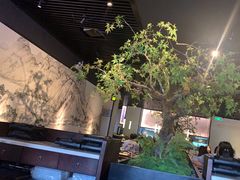 -绿茶餐厅(壹方天地店)