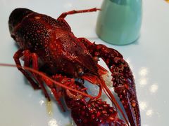 -荷风细雨·中国茶宴(碧云店)