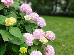 -常州古运河南大街文化旅游区-人民公园