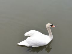 -宁波杭州湾国家湿地公园