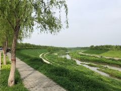 -洨河生态公园