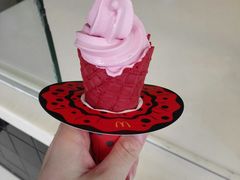 -麦当劳(新华路步步高店)
