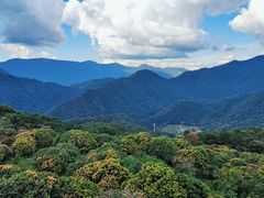 -广州市石门国家森林公园