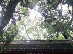 -秋霞圃