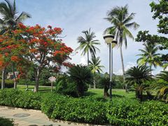 -三亚南山文化旅游区