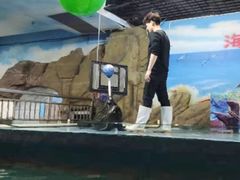 -嘉兴海底世界