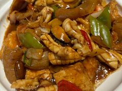 -天鹰观渔(梦园店)
