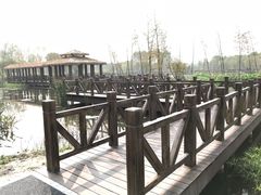 -溱湖国家湿地公园