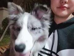 -巴鑫田姐米线(巴南万达店)