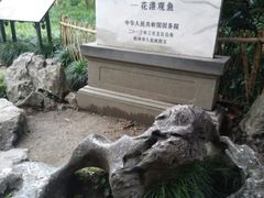 -西湖游船