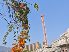 -贵安欢乐世界
