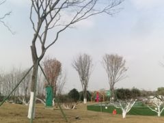 -府河摄影公园