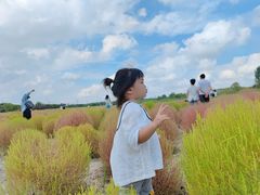 -映月湖中央公园