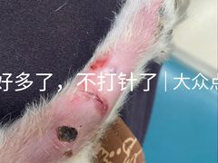 -康旭宠物医院(郑州总院)