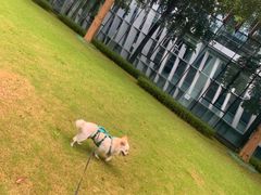 -万科前海企业公馆