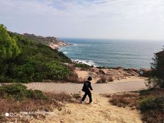 -广东惠东海龟国家级自然保护区
