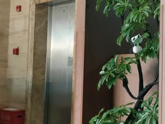 -茶去咖啡屋(武侯祠店)