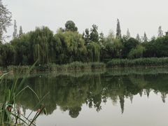 -两河城市森林公园