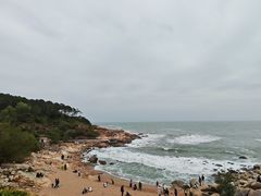 -广东惠东海龟国家级自然保护区