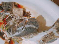-必点海鲜·鲅鱼水饺(鞍山西道店)