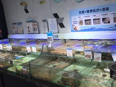 水产区-盒马鲜生(岭南新世界店)