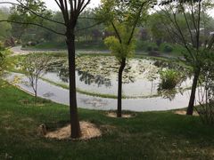 -武清南湖绿博园