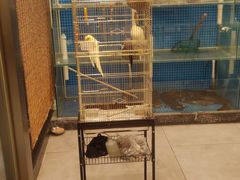 -潇湘·永州会馆(百子湾店)