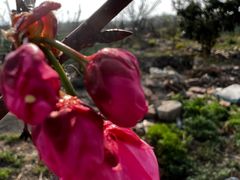 -桤木河湿地公园