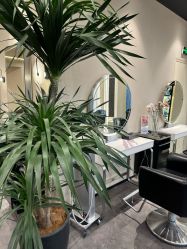 -凯博K-boom Hair Salon